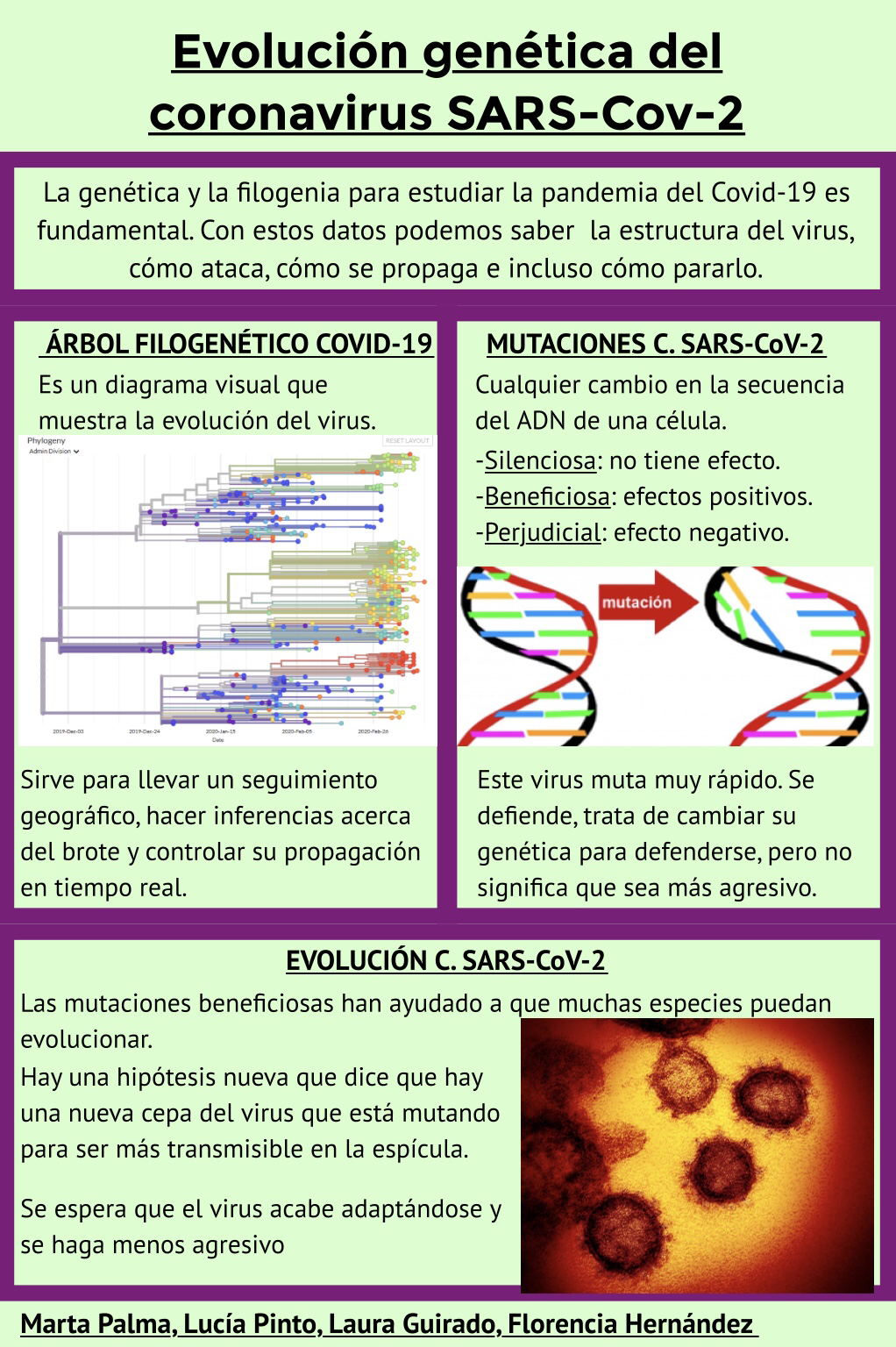 PÓSTER-CIENTÍFICO-SOBRE-LA-EVOLUCIÓN-GENÉTICA-DEL-CORONAVIRUS-SARS-CoV-2-12-may-2020-17_53